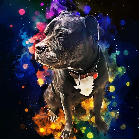 !! GIFTS !! RANDOMNESS GIFTs MARCH2026 - Picture 13 of 15